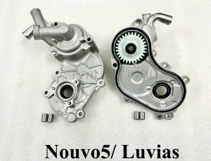 cum-bom-nuoc-nouvo-5-luvias