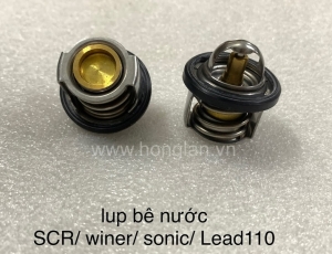 lup-be-nuoc-winer-scr