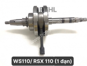 den-ws110-rsx-rsx-fi-kww