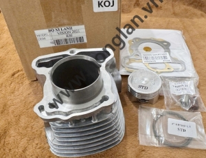 bo-long-nier-vision-21