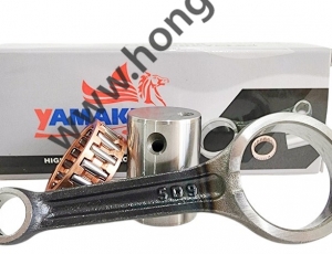 tay-den-yamaken-taurus